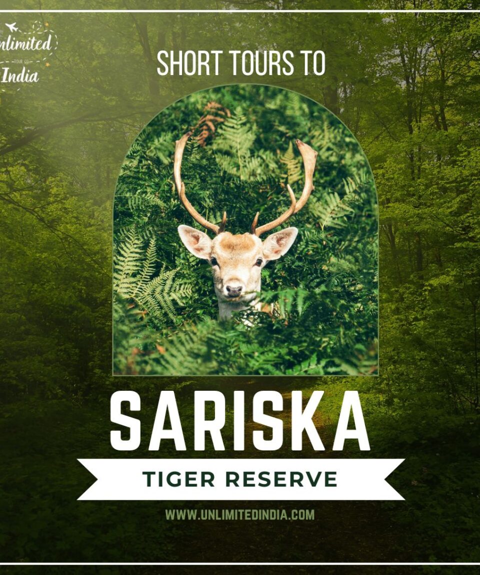 sariska-short-tours