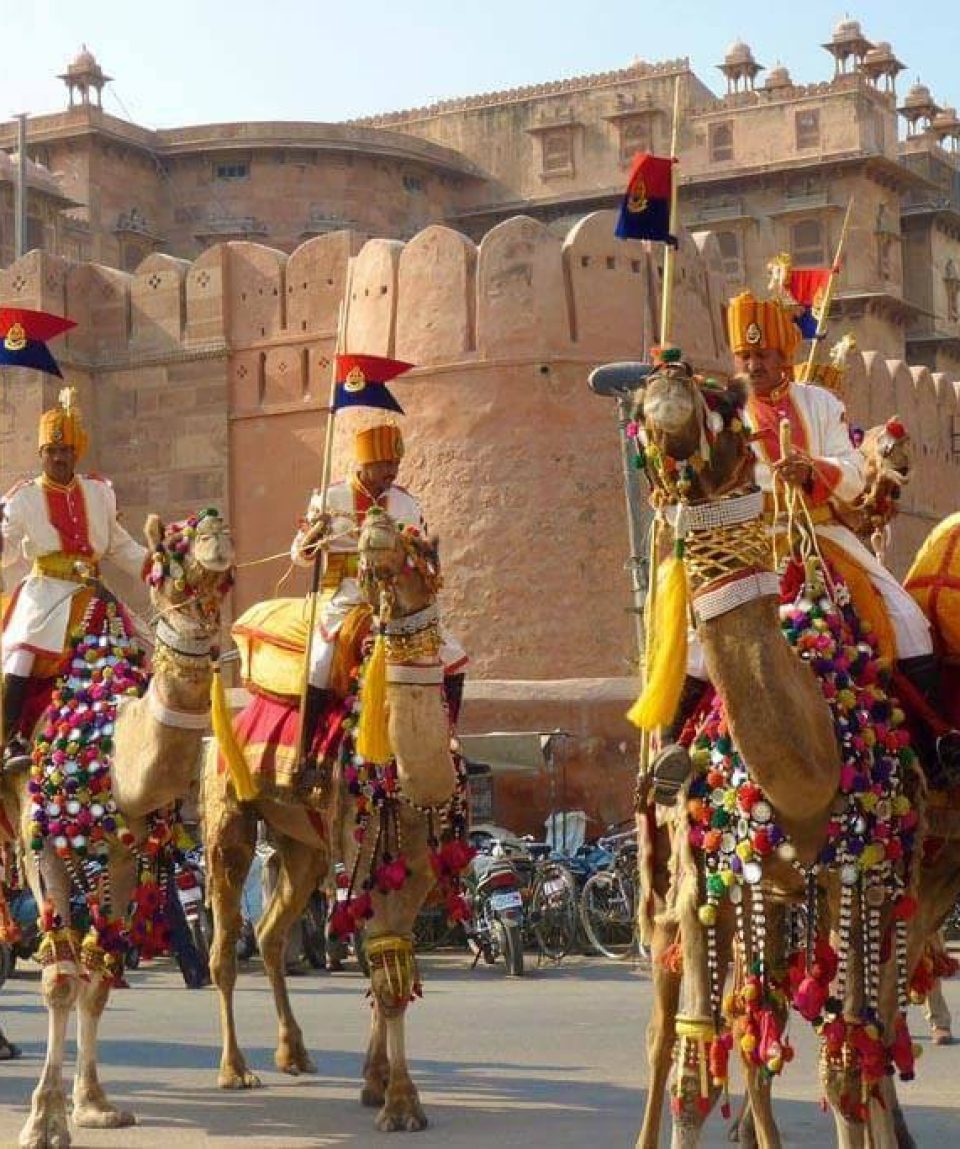camel-festival-rajasthan